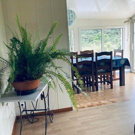 Maison A Bourg- Murat Proche De La Cite Du Volcan La Plaine des Cafres Kültér fotó